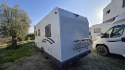 Roller Team de 2005 completo